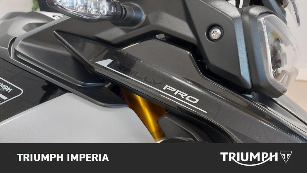 Triumph Tiger 900 Rally Pro (2024) (3)