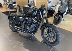 Harley-Davidson 883 Iron (2012 - 14) - XL 883N usata