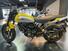 Ducati Scrambler 800 Icon (2023 - 24) (6)