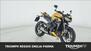 Triumph Street Triple 765 RS (2023 - 24) (7)