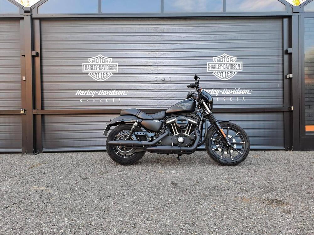 Harley-Davidson 883 Iron (2017 - 20) - XL 883N