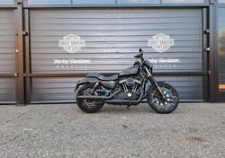 Harley-Davidson 883 Iron (2017 - 20) - XL 883N usata