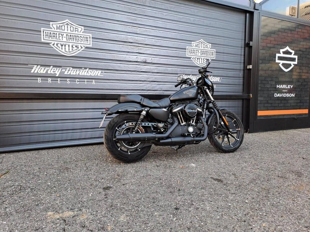 Harley-Davidson 883 Iron (2017 - 20) - XL 883N (3)