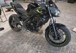 Kawasaki Z 650 (2021 - 24) nuova