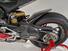 Ducati Panigale V4 R 1000 (2019 - 20) (8)