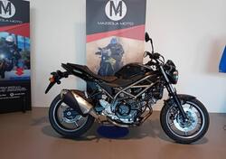 Suzuki SV650 (2021 - 24) usata