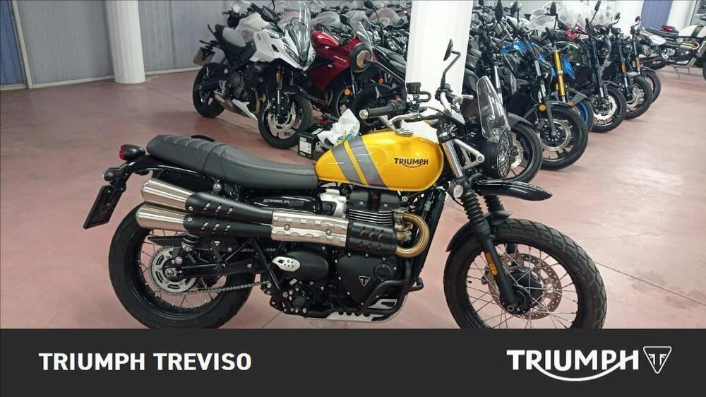 Triumph Scrambler 900 (2023 - 24)