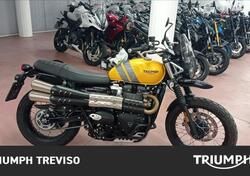 Triumph Scrambler 900 (2023 - 24) usata