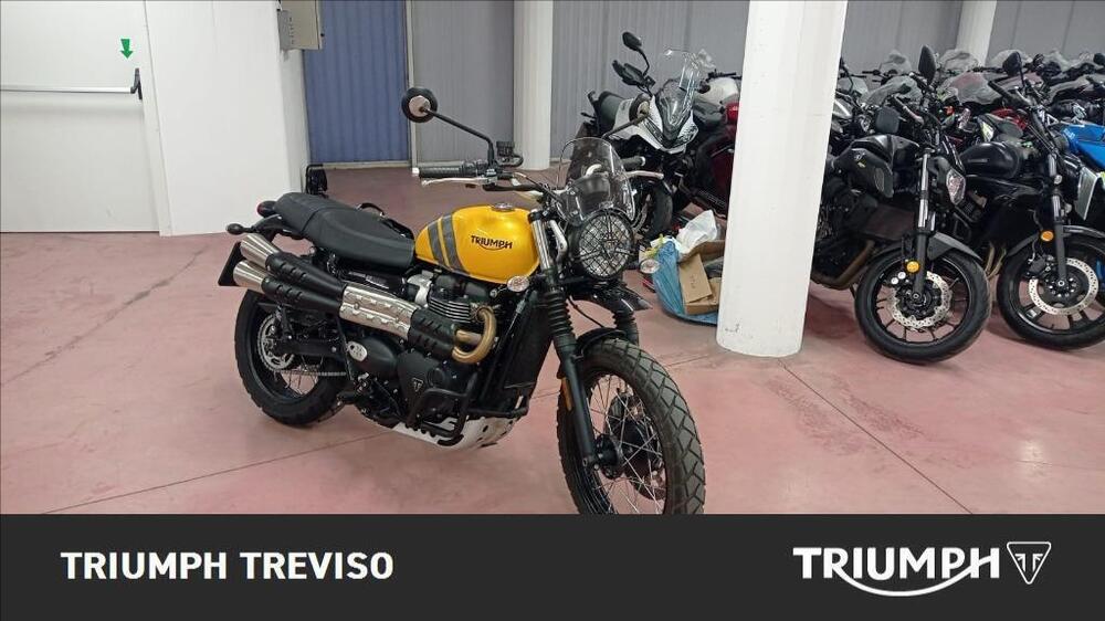 Triumph Scrambler 900 (2023 - 24) (2)