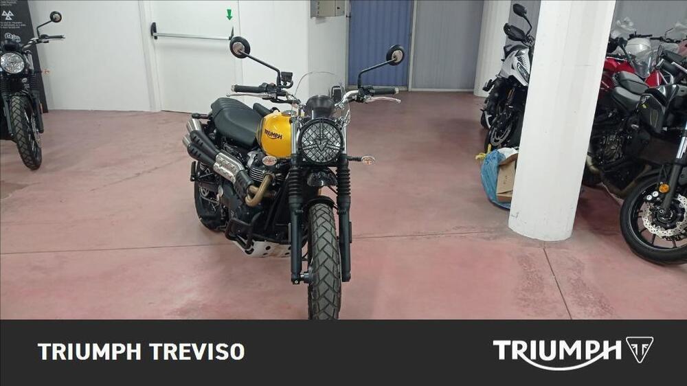 Triumph Scrambler 900 (2023 - 24) (3)