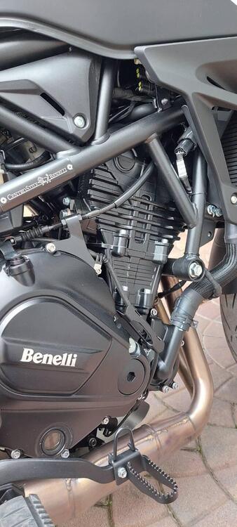 Benelli TRK 702 (2023 - 24) (2)