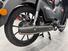 Honda Super Cub 125 (2022 - 24) (11)