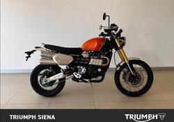 Triumph Scrambler 1200 XE (2024) nuova