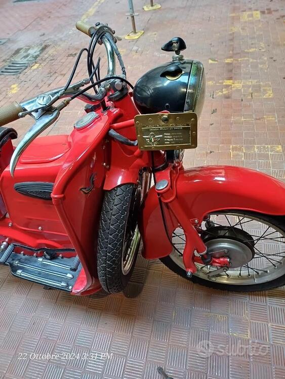 Moto Guzzi Galletto 175 (3)