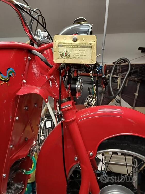 Moto Guzzi Galletto 175 (2)