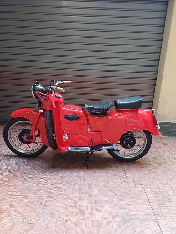 Moto Guzzi Galletto 175 (4)