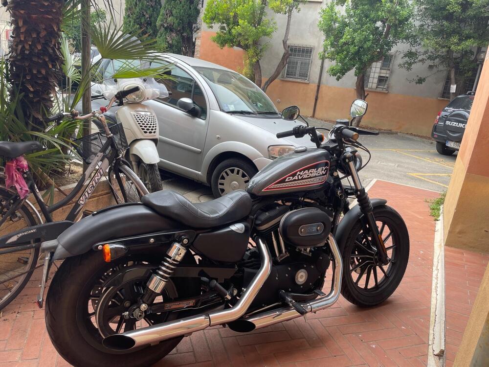 Harley-Davidson 883 Iron (2009 - 11) - XL 883N