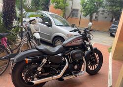 Harley-Davidson 883 Iron (2009 - 11) - XL 883N usata