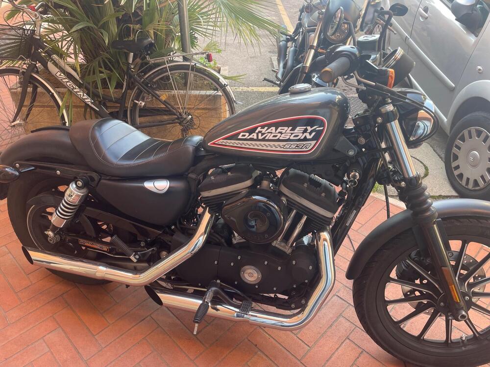 Harley-Davidson 883 Iron (2009 - 11) - XL 883N (3)