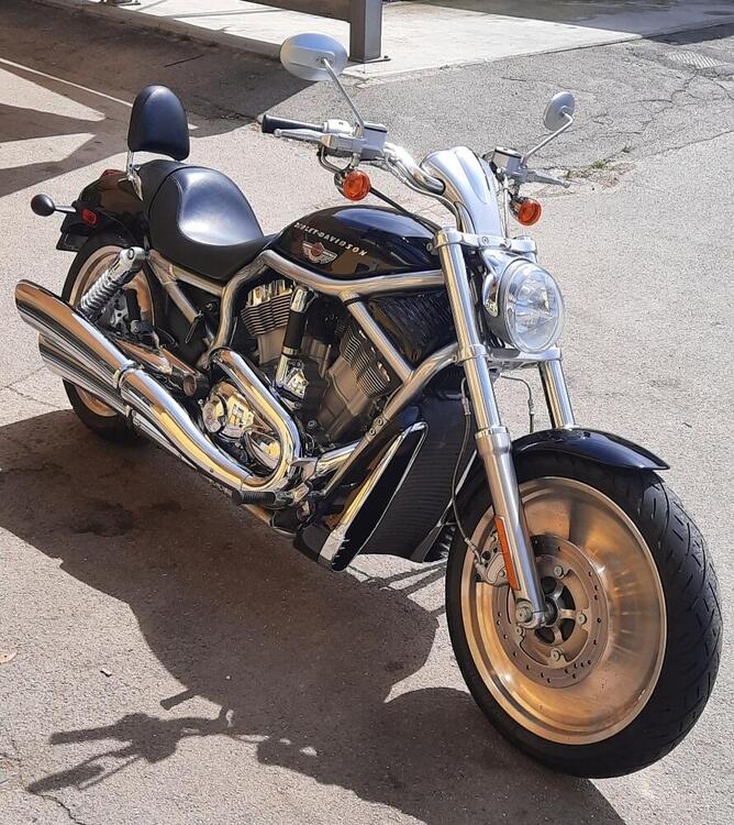 Harley-Davidson 1130 V-Rod (2002 - 05) - VRSCA