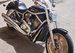 Harley-Davidson 1130 V-Rod (2002 - 05) - VRSCA usata