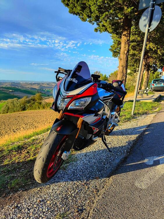 Aprilia Tuono 1100 V4 Factory (2015 - 17) (4)