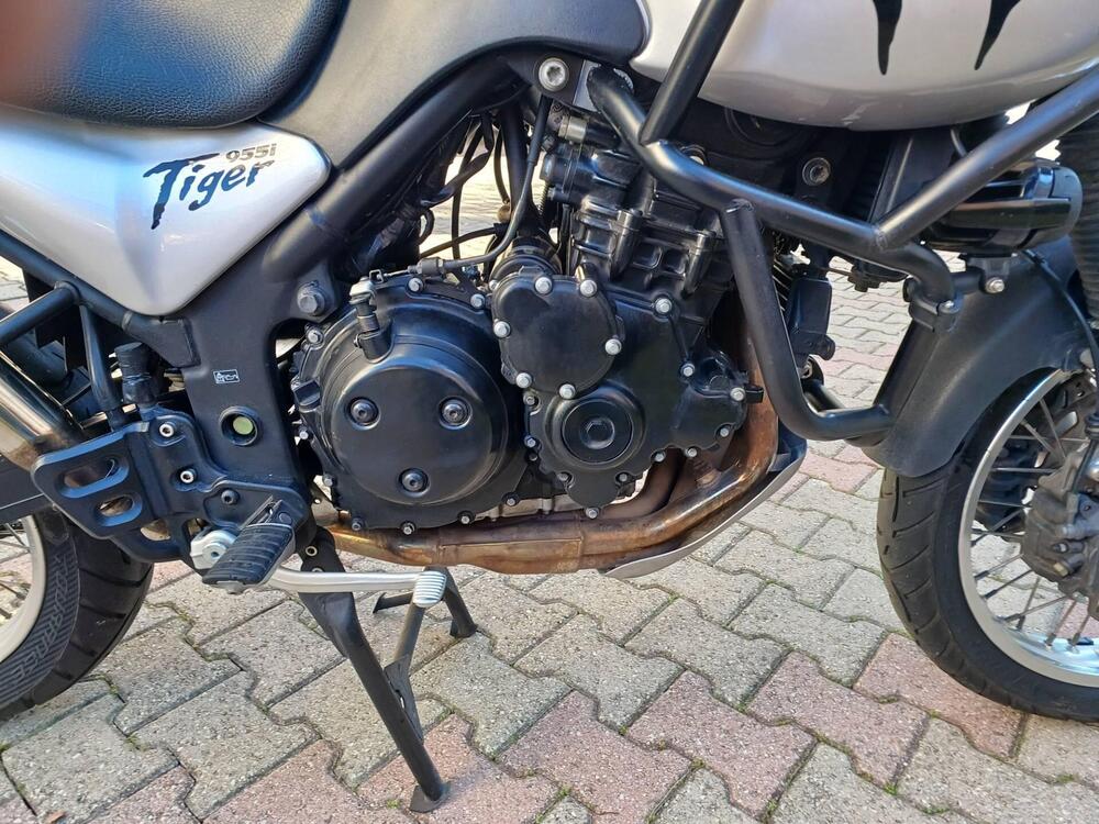 Triumph Tiger 955 (2002 - 06) (2)