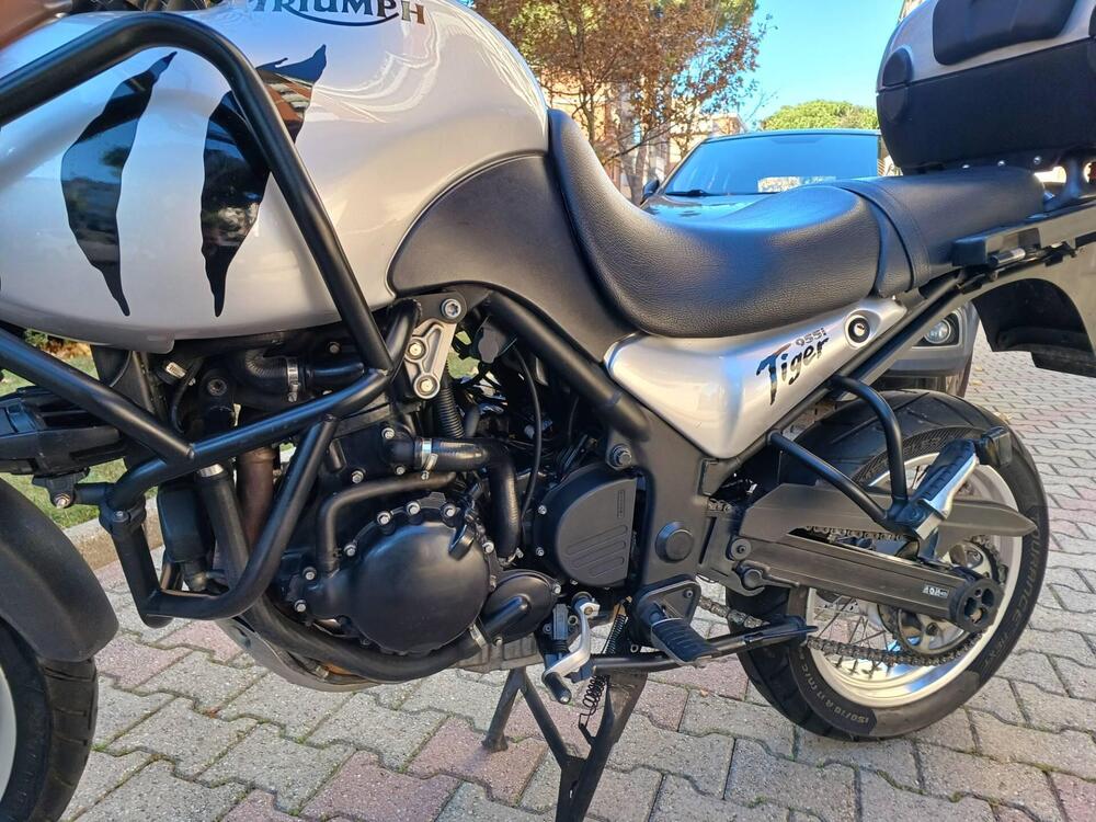 Triumph Tiger 955 (2002 - 06) (3)