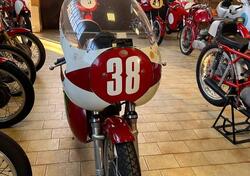 Moto Morini 175 SETTEBELLO  d'epoca