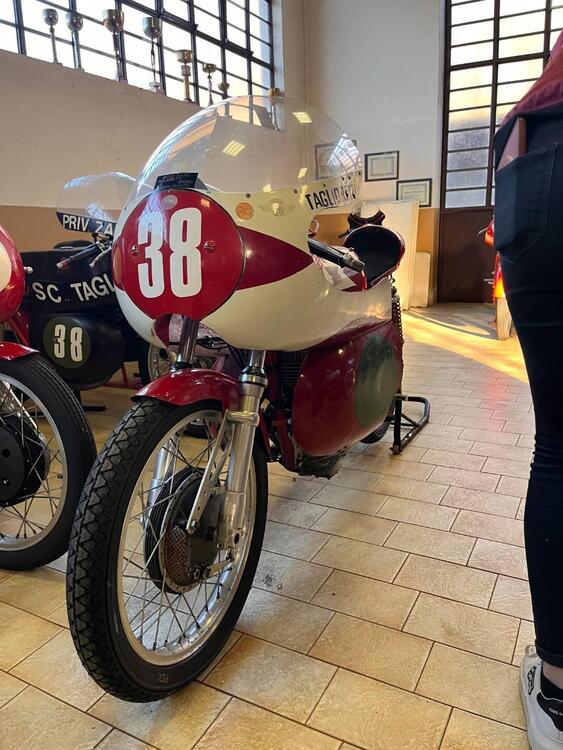 Moto Morini 175 SETTEBELLO  (2)