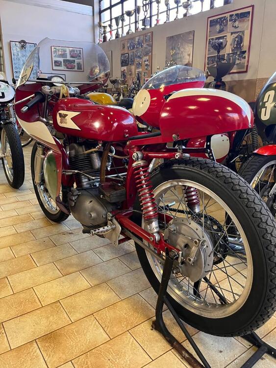 Moto Morini 175 SETTEBELLO  (4)