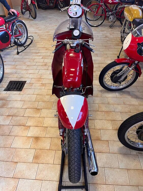 Moto Morini 175 SETTEBELLO  (5)