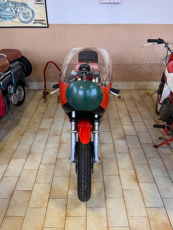 Aermacchi Harley-Davidson 250 CORSA (2)