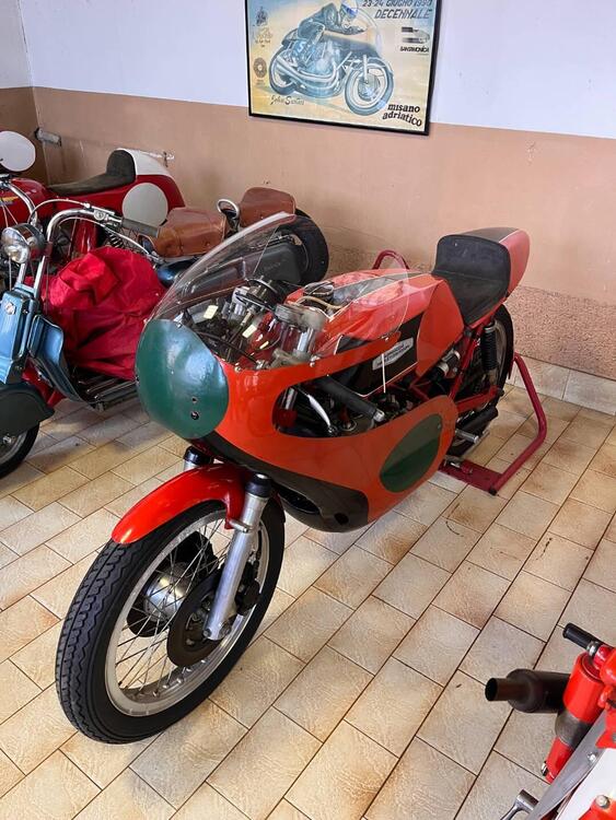 Aermacchi Harley-Davidson 250 CORSA (3)