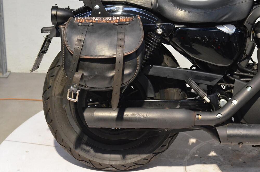 Harley-Davidson 883 Iron (2012 - 14) - XL 883N (2)