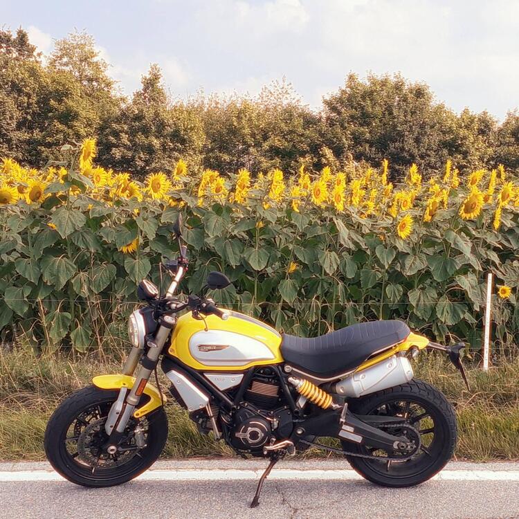 Ducati Scrambler 1100 (2018 - 20)