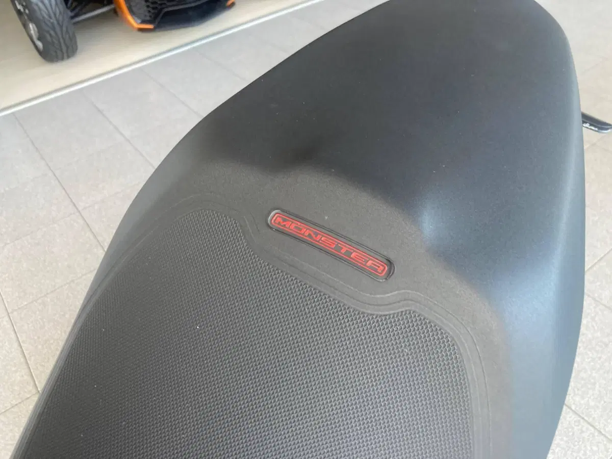 Ducati Monster 797 (2019 - 20) (7)