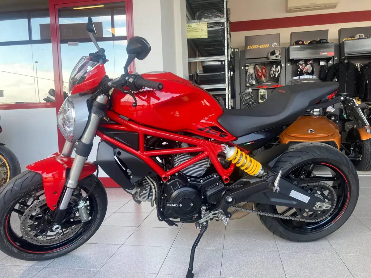 Ducati Monster 797 (2019 - 20) (8)