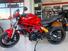 Ducati Monster 797 (2019 - 20) (9)