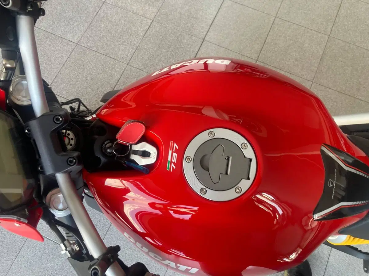 Ducati Monster 797 (2019 - 20) (11)