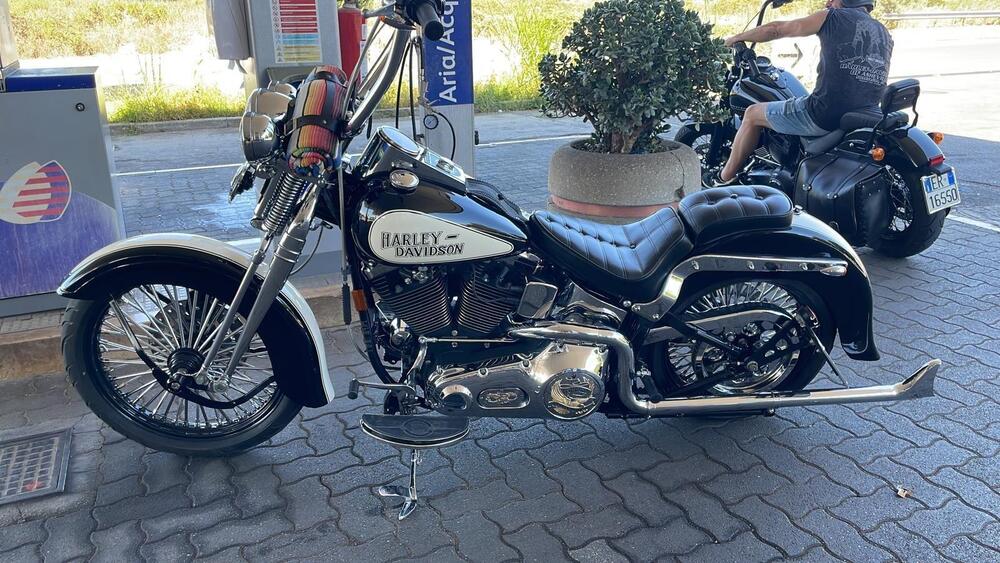 Harley-Davidson 1340 Springer (1990 - 98) - FXSTS (3)