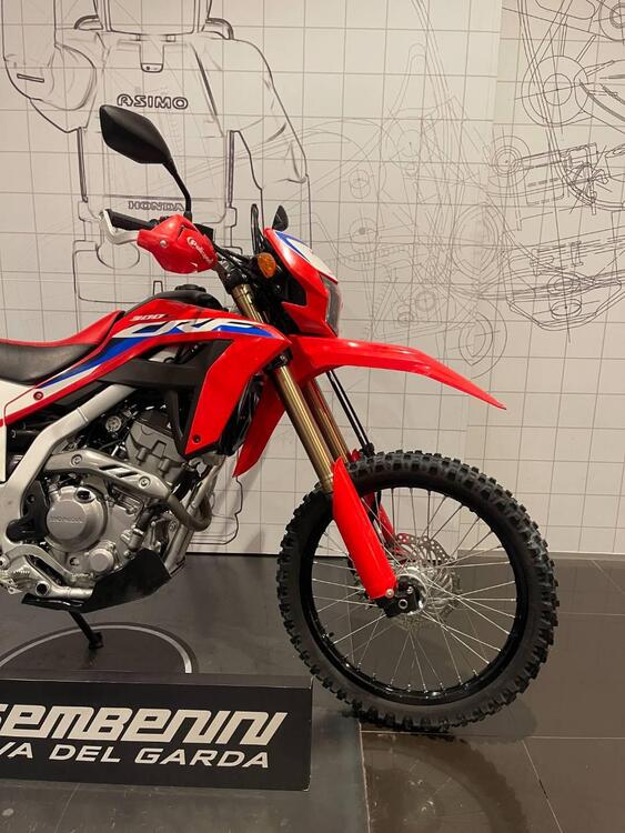 Honda CRF 300 L (2021 - 24) (3)