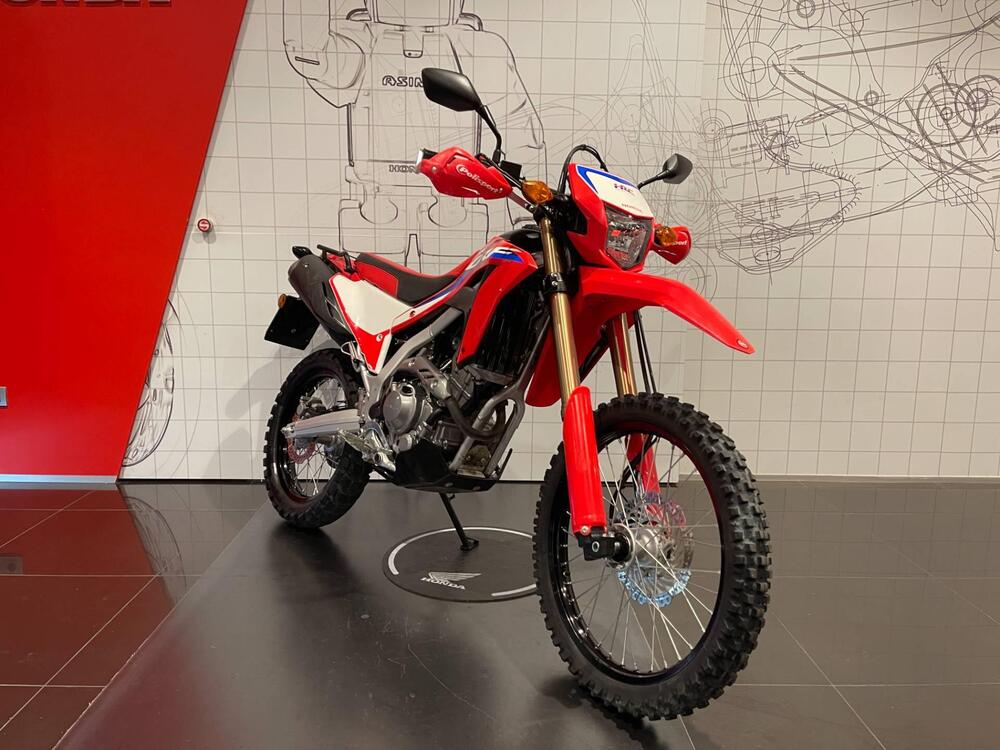 Honda CRF 300 L (2021 - 24) (4)