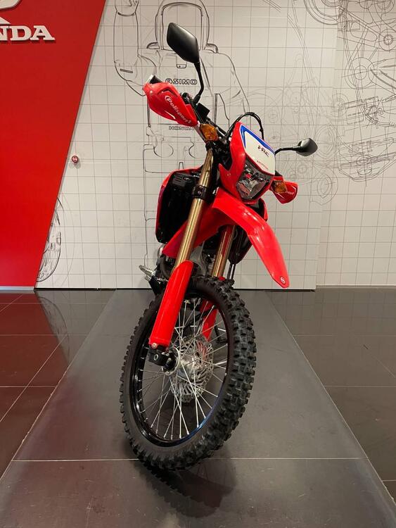 Honda CRF 300 L (2021 - 24) (5)