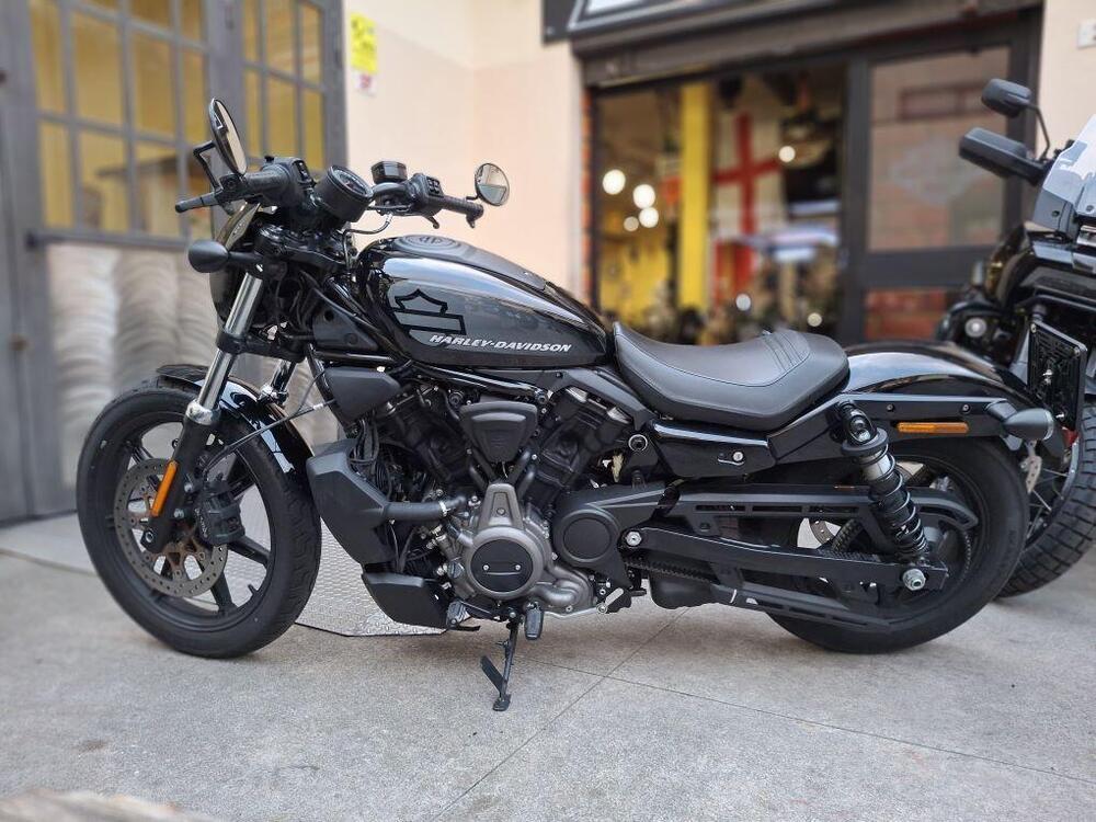 Harley-Davidson Nightster (2023 - 24) (2)