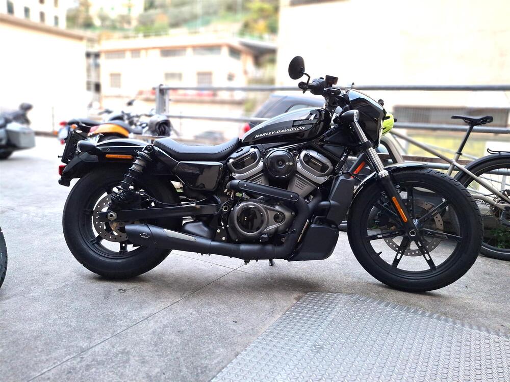 Harley-Davidson Nightster (2023 - 24)