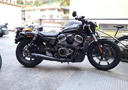 Harley-Davidson Nightster (2023 - 24) usata