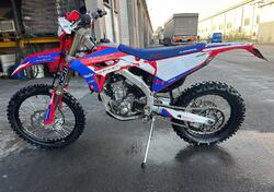 Honda CRF 250 RX Enduro (2024) usata