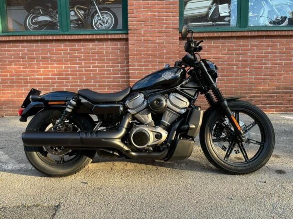 Harley-Davidson Nightster (2023 - 24)