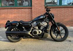 Harley-Davidson Nightster (2023 - 24) usata